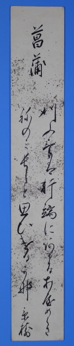 未装短冊　「菖蒲　　刈ふけは軒端にあまるあやめくさ　ねのみ長しと思ひけるかな」